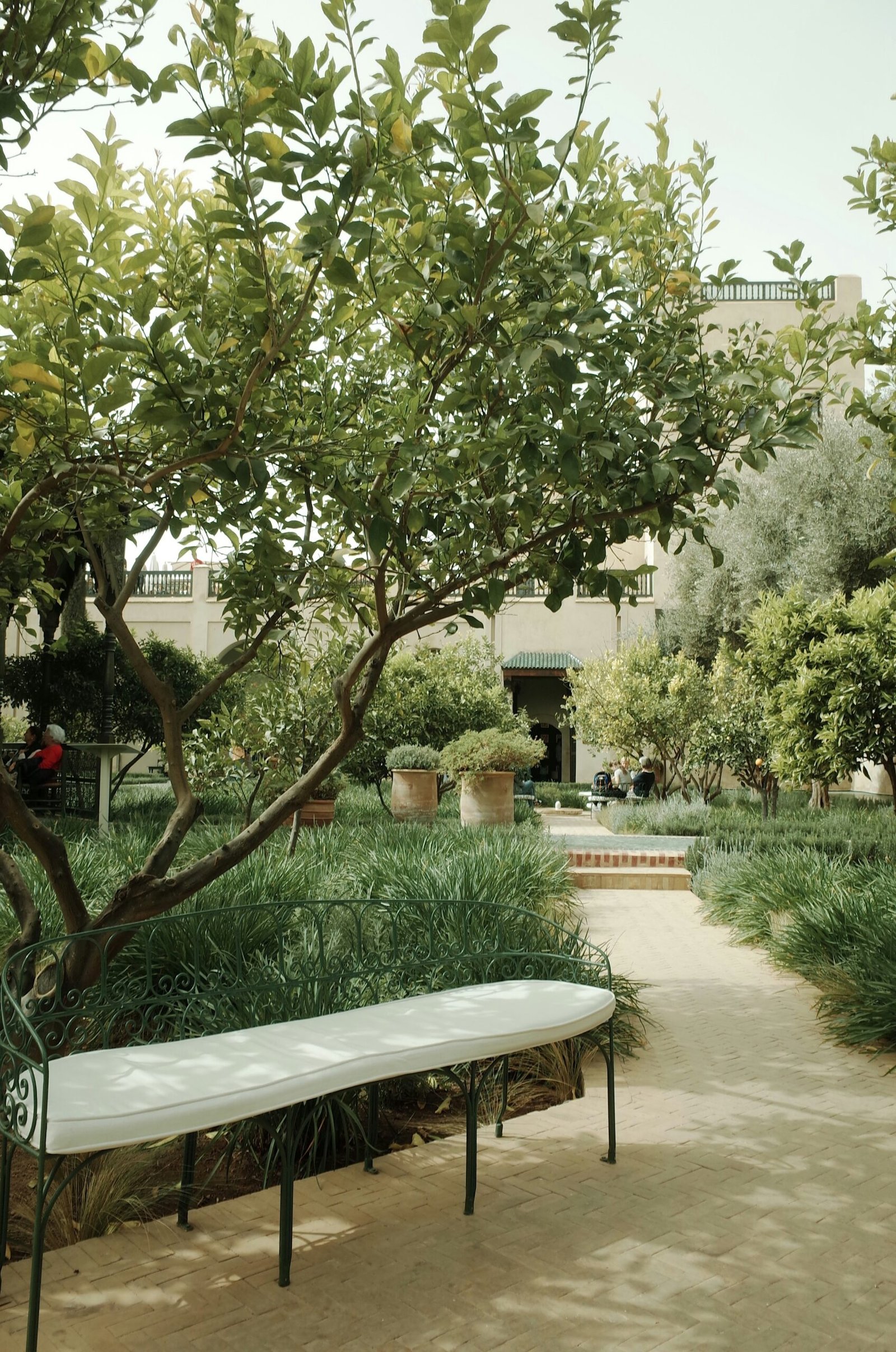 a white bench sitting under a tree in a park